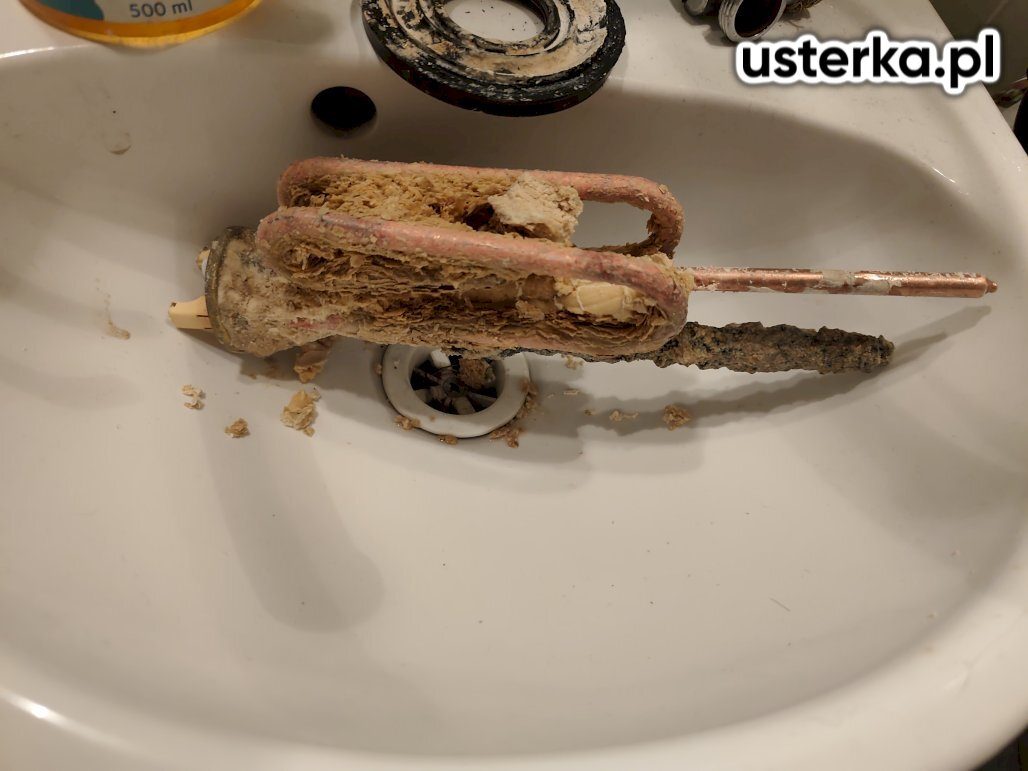 zatwierdzone zdjęcie